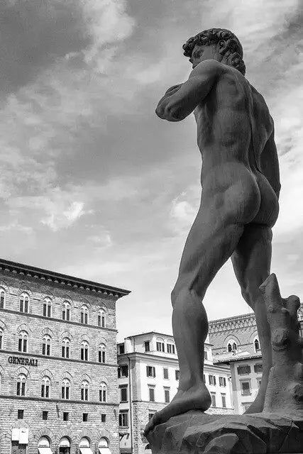 Μικρογραφία: Greek Statue Plaster Sculpture Artwork David Canvas Painting Figure Posters and 