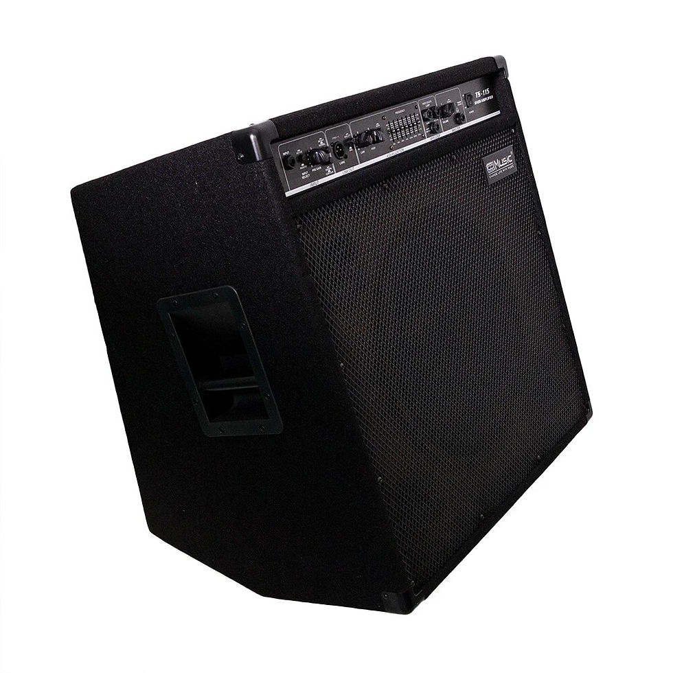 Miniaturbild: Guitar Tube Amplifier 150W 15 inch The Best China Digital Bass Tube