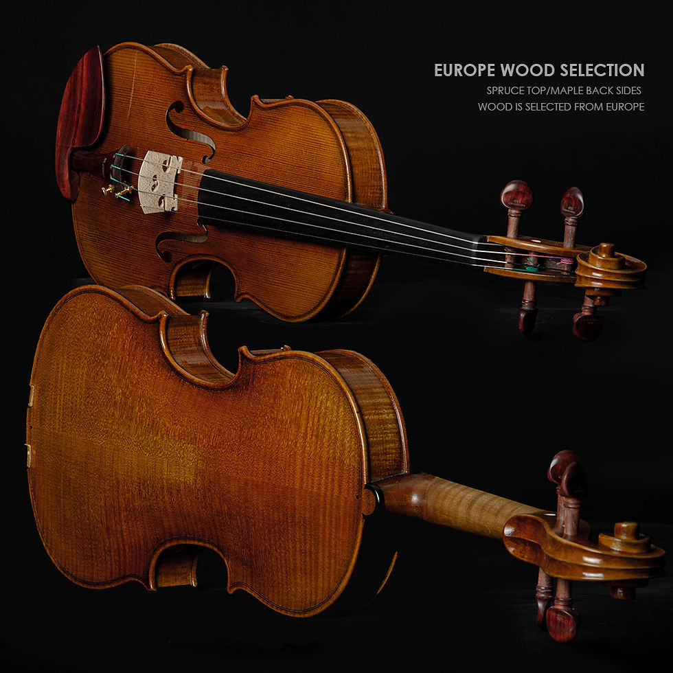Miniatura: Full Size Violin Set for All Ages Handmade One piece Back Rosewood