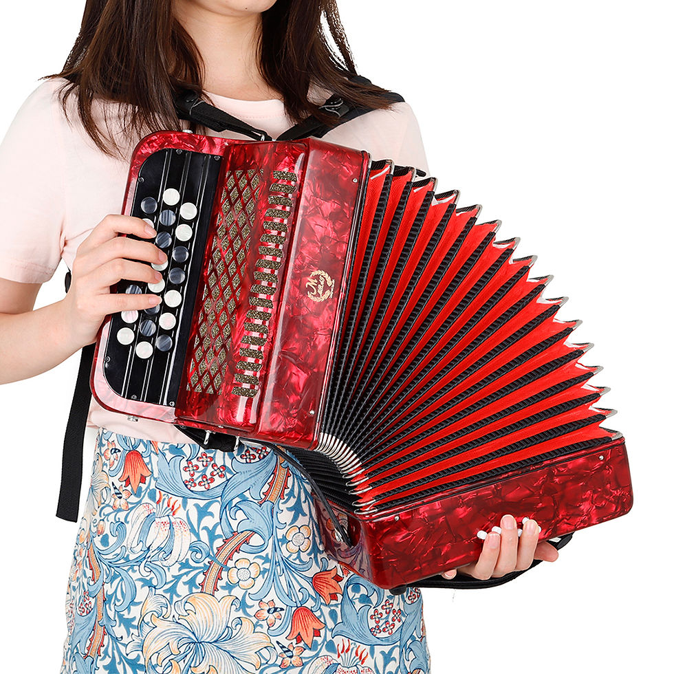 Miniatura: 22 Key 8 Bass Accordion With Strap Bag Professional Keyboard Instrument Hand Pia