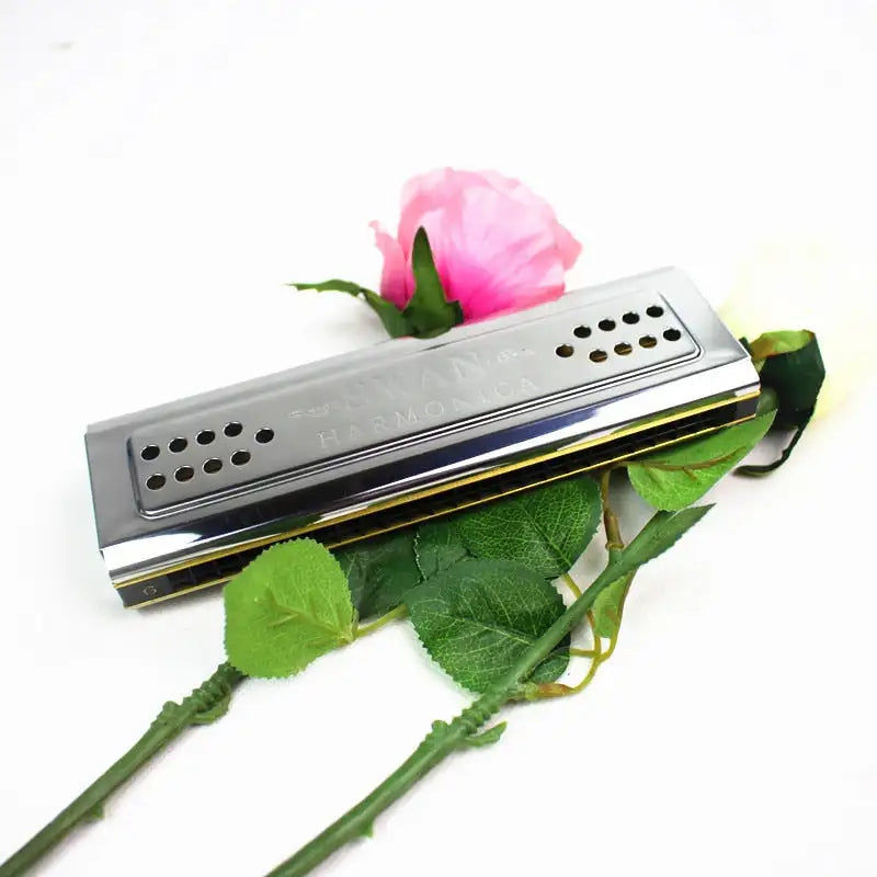 Miniaturbild: Les deux côtés cygne Harmonica Tremolo C et G clé 24 trous Double Harmonica harp