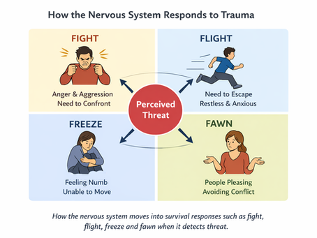 Diagram showing how trauma is stored in the body through nervous system survival responses: fight, flight, freeze, and fawn.