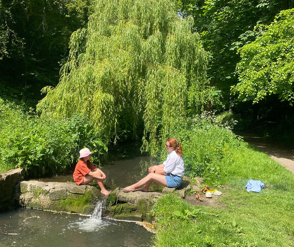Why I Shifted From Parent Coaching to Somatic Experiencing