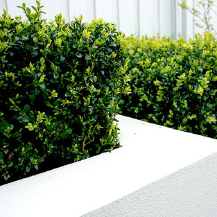 Karen Wagner Garden Design, Hobart, Tasmania. Garden design and store.