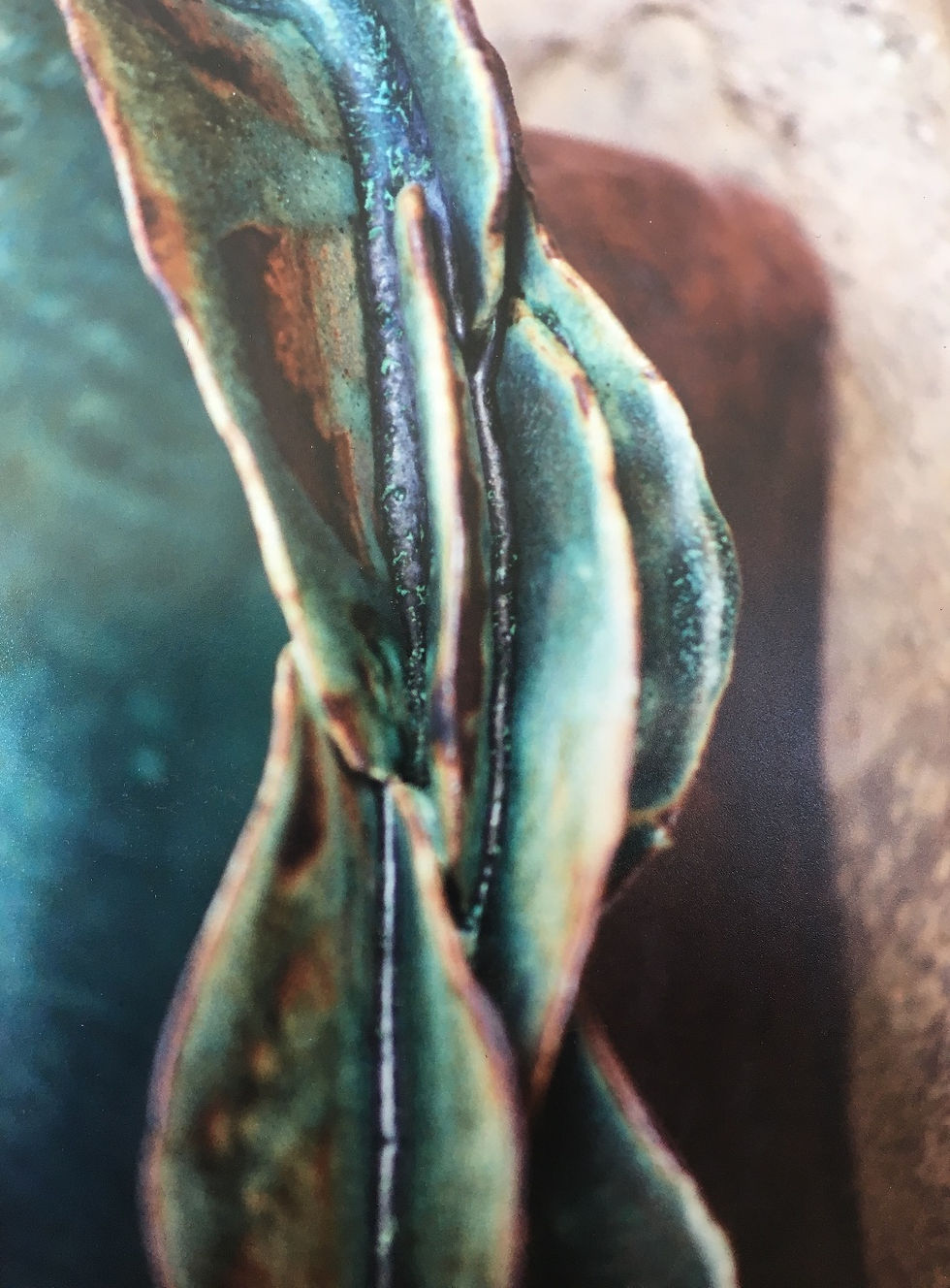 Peeling Open