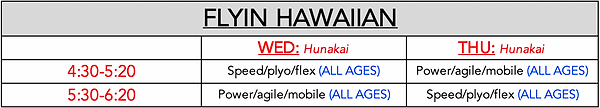 200531 Flyin Hawaiian.png