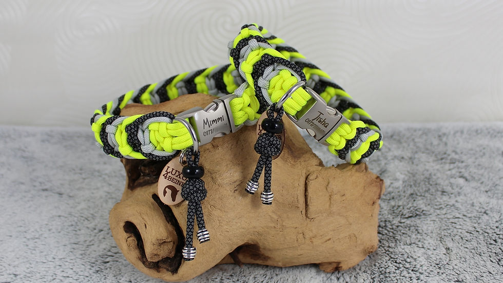 Miniaturbild: Halsband "Dooley"