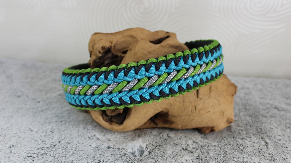 Miniaturbild: Halsband "Lenny"