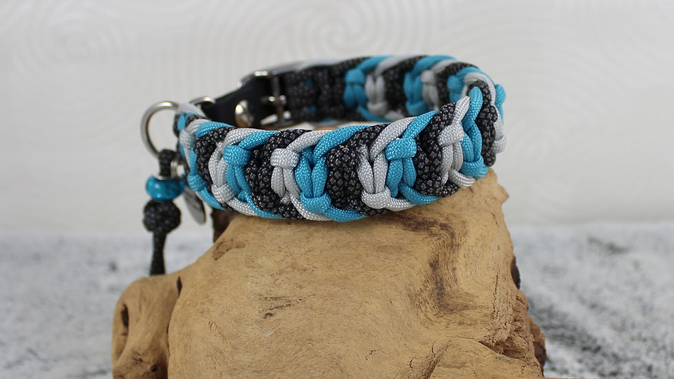 Miniaturbild: Halsband "Dooley"