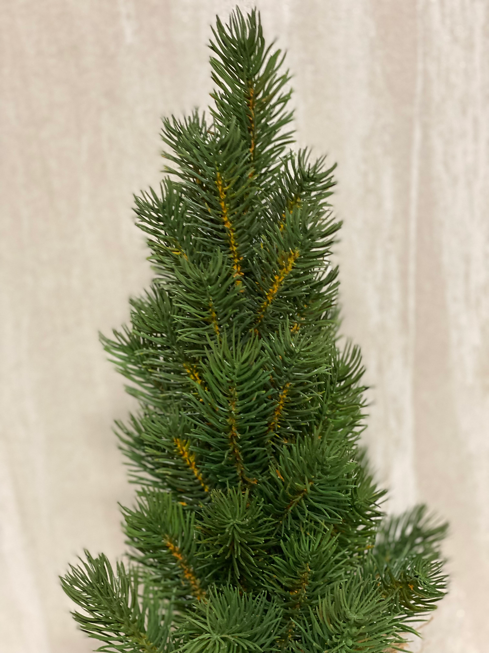 Miniatura: Stromek v jutě 🌲