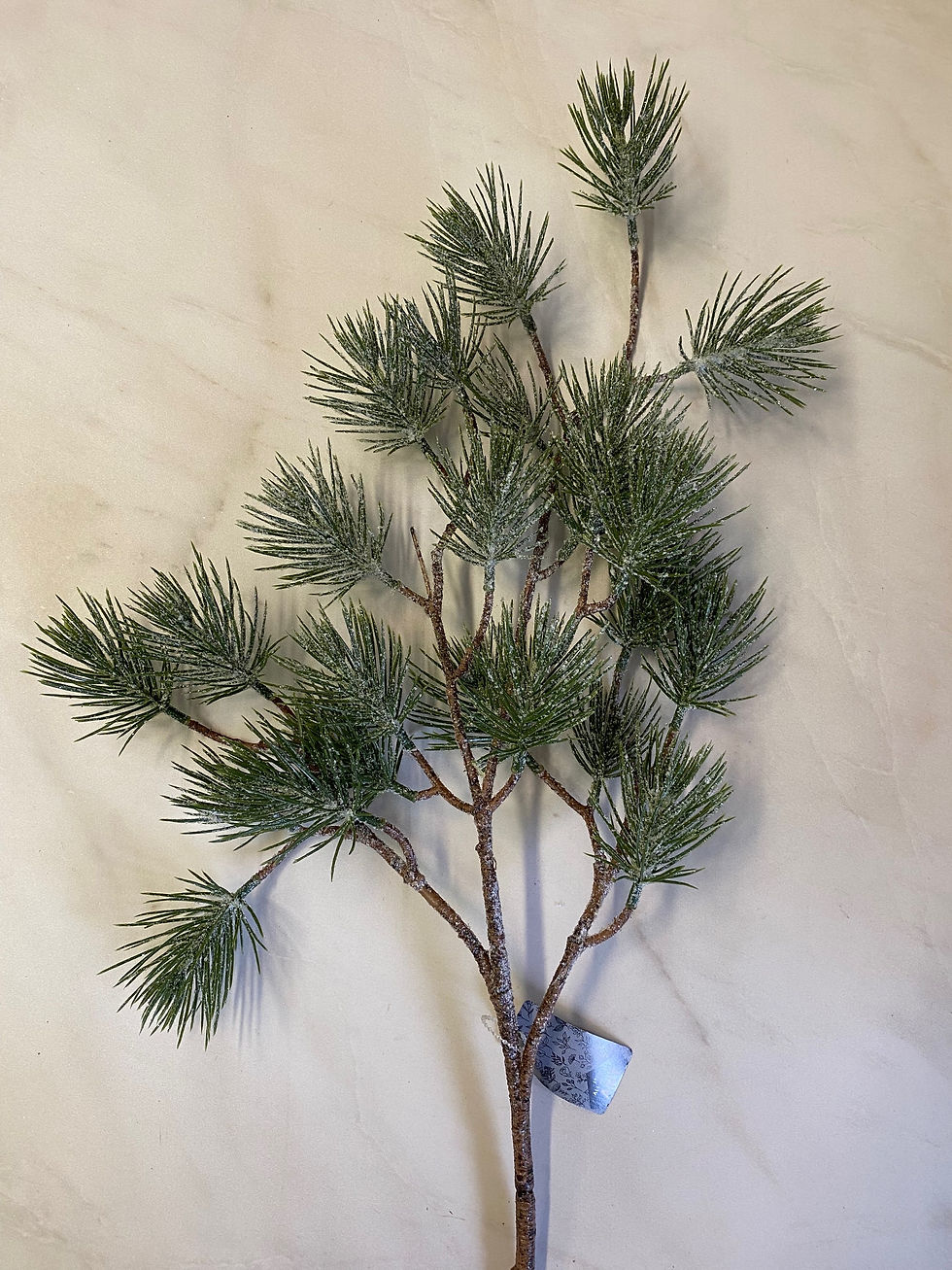 Miniatura: Větvička borovice omrzlá 🌲