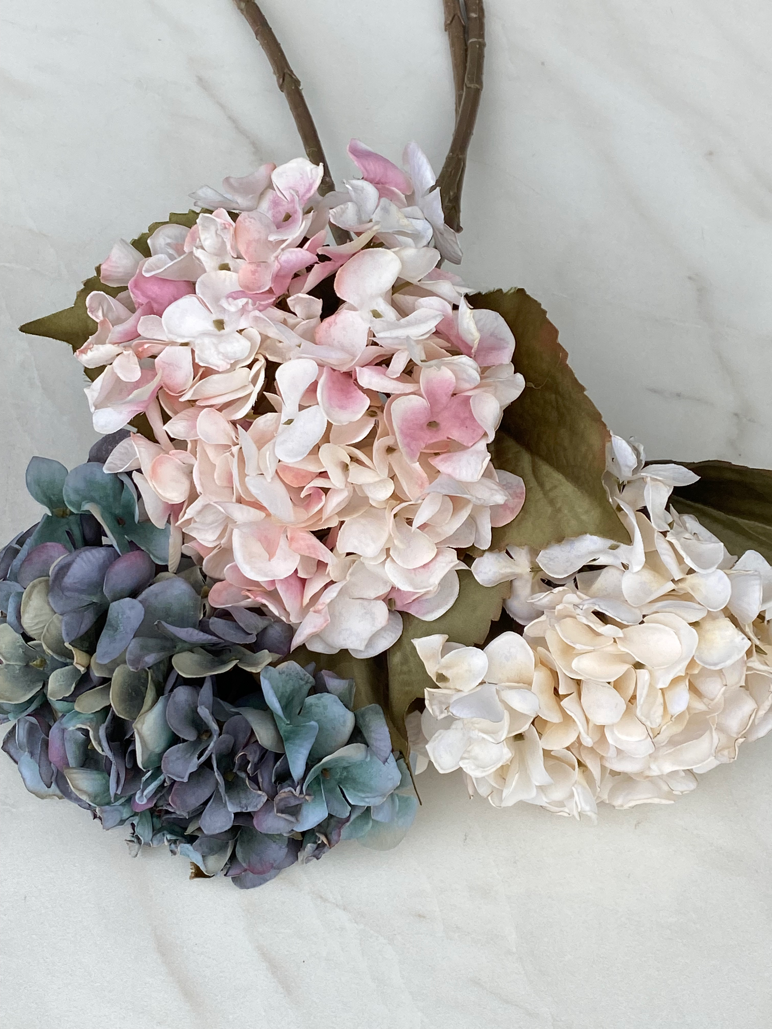 Hortenzie - 3 barvy🐝