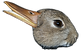 Duck Rabbit
