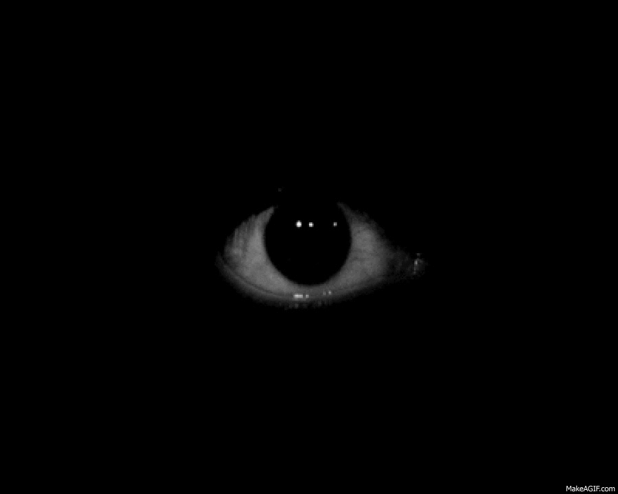 TSnTTe-2309873685.gif