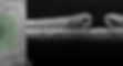 macular detachment