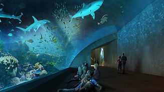 Tunel-de-Tiburones2-640x360.jpeg