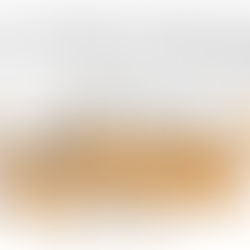 Algemene Vergadering 24 Februari