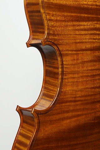 6 Vik Vandamme Violin 2024 VV Front side close.JPG
