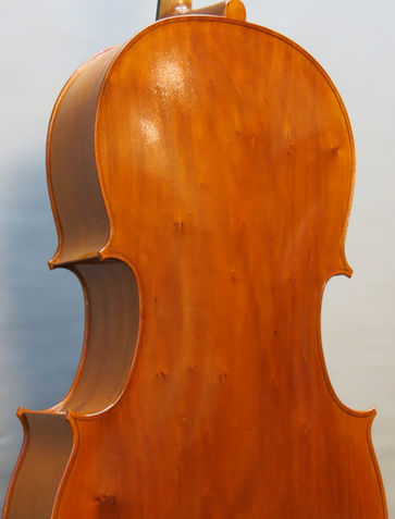 Willow back 7/8cello 2022.jpg