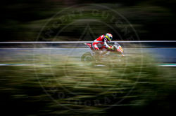 DOMINIQUE AEGERTER #77