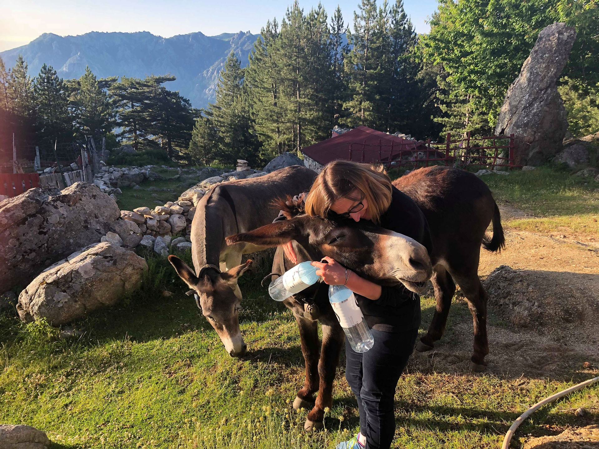 Calin à Bibi