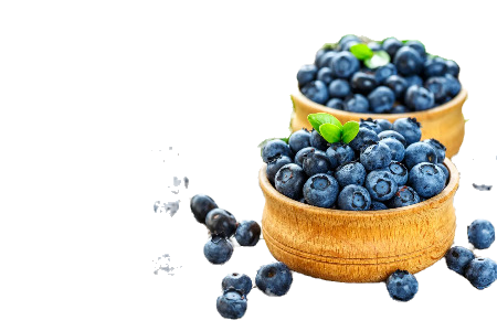 Miniature : Les Sorbets