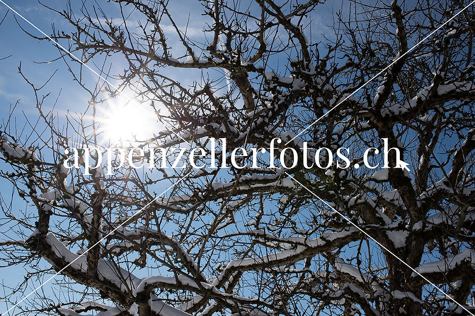 Appenzellerland
