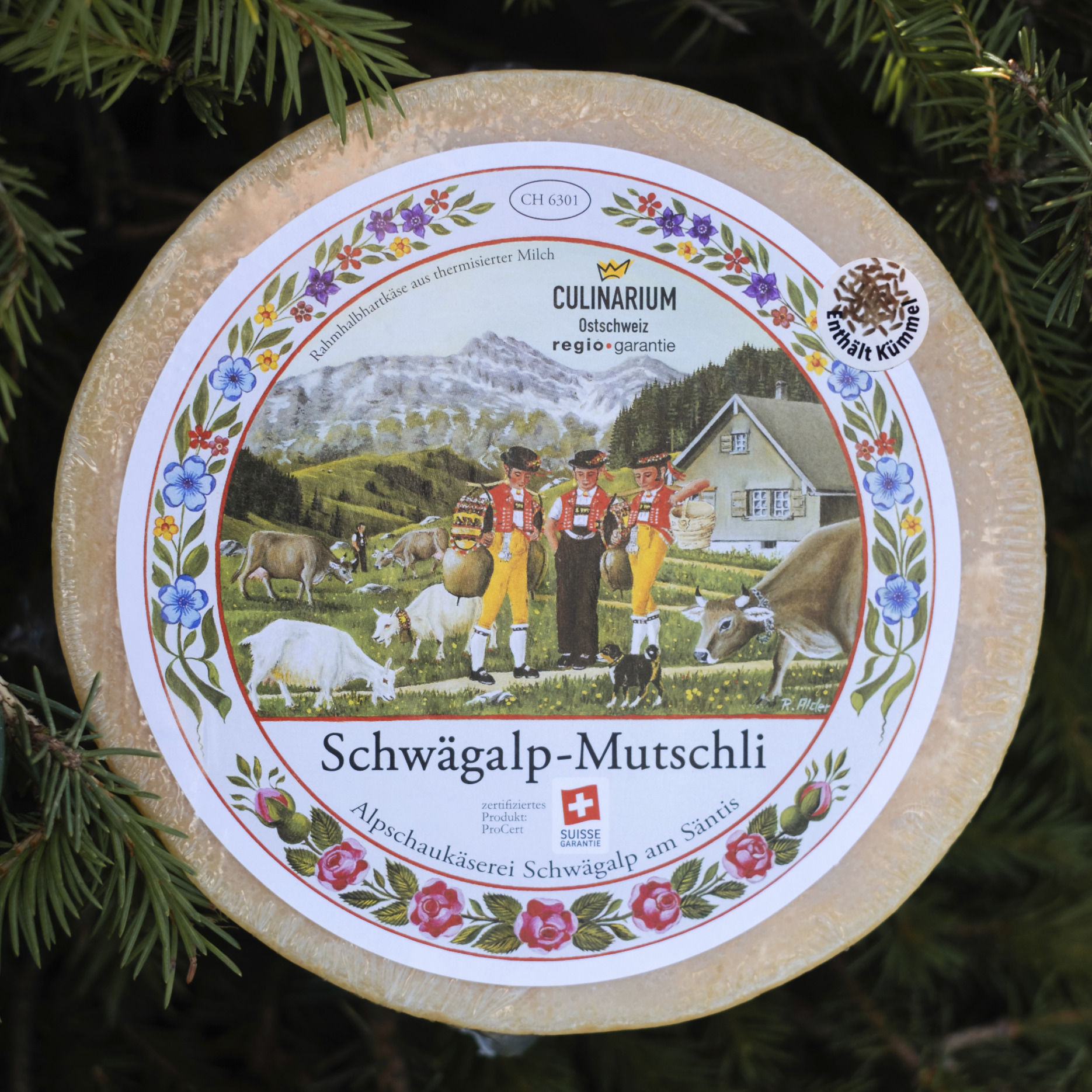 Schwägalp Mutschli Kümmel