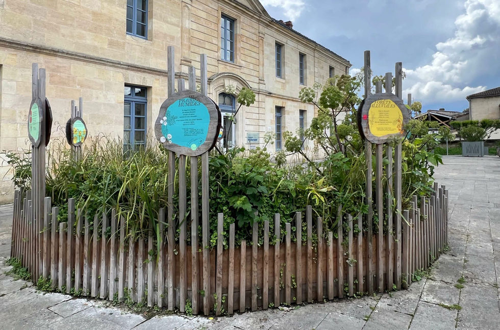 sensibilisation à la biodiversité locale
