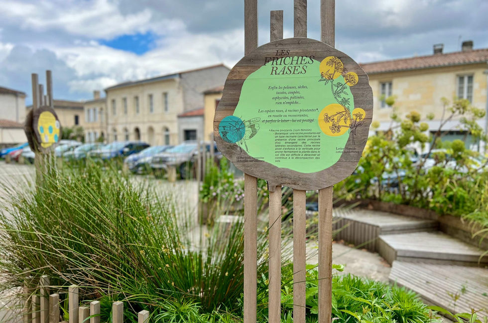 sensibilisation à la biodiversité locale