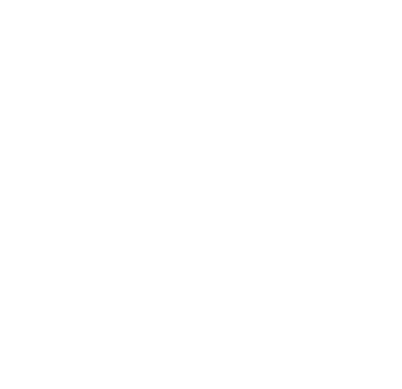 NSP LOGO_WHITE.png