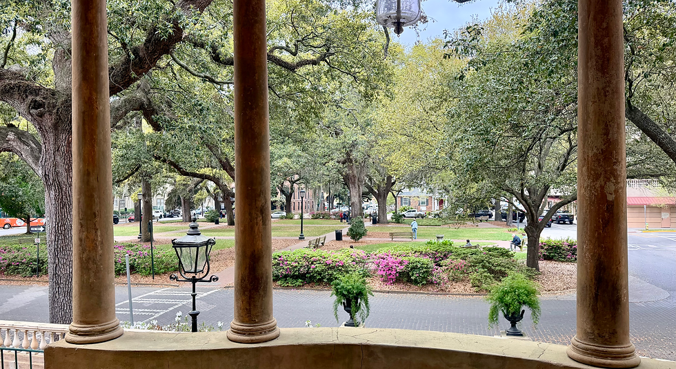 View of the Square from the Front Entry