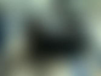 We're Getting Things Worked Out--An Update from the Bosun!