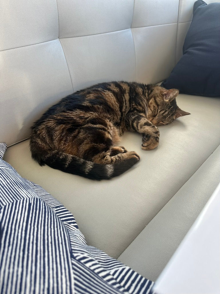 Life Wasn't So Bad aboard Katahdin