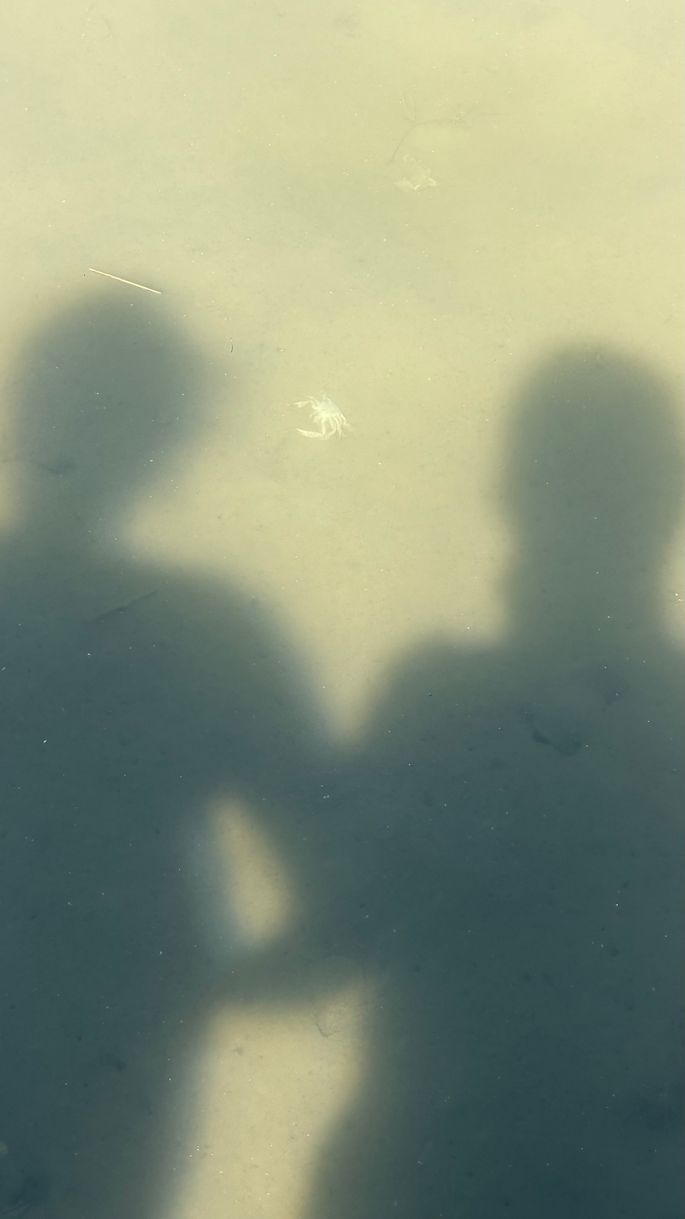 Exploring the Chesapeake