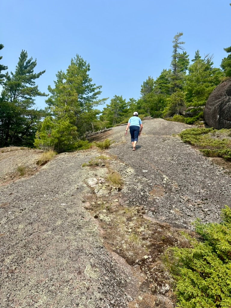 The Admiral Scaling the Shield