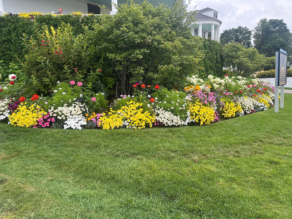 Flowers Are Everywhere on Mackinac