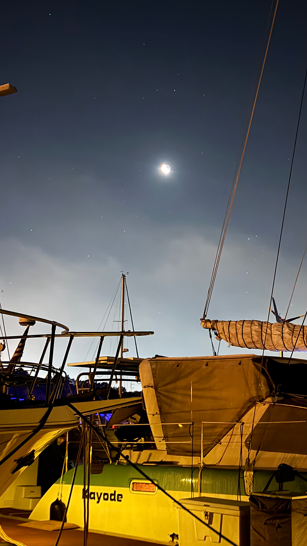 Wish I Had a Steadier Hand