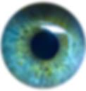 eye-492262_1280_edited.jpg