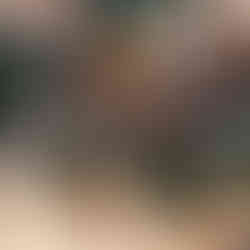 castle decoration at zootopia, Shanghai disneyland