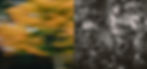 Undoubt Studio Professional Web Design Studio in Malaysia