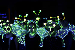 Bees