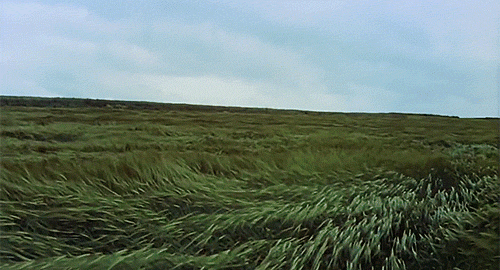 tumblr_n8duz4nAIw1r3h6rqo1_500.gif