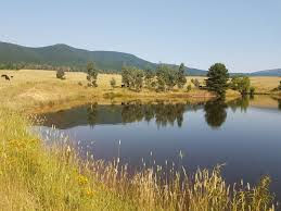Enhancing Your Farm Dam 💧