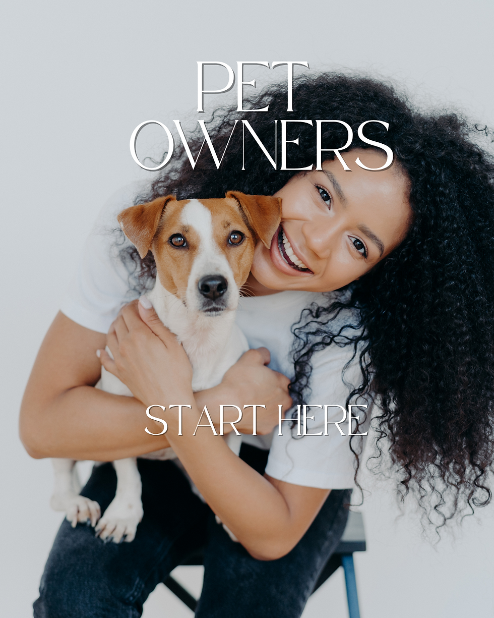 pet parent, black woman smiling and holding a brown and white dog that is smiling with the phrase start here