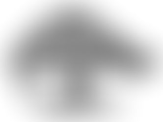 America 250: Santa Fe Liberty Tree Dedication at the New Mexico Military Museum