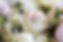 download.png