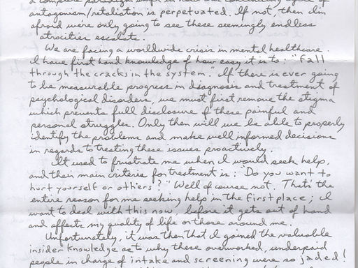 Inmate Brian Fuller "Blurry Rights, Vivid Wrongs"