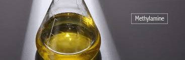 日本のメチルアミン価格は、医薬品と農薬の国内需要が均衡していることから、2024年まで安定を維持しました。原料メタノール価格がメチルアミン価格の変動を左右しました。