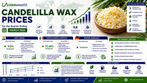 Candelilla Wax Price Trends: Regional Market Analysis, Forecast, and Industry Outlook